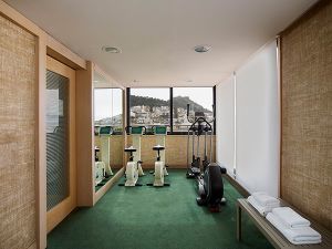 athenszafoliahotel26268-gymcenter-small.jpg